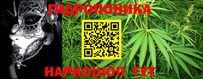 дмт Кунгур