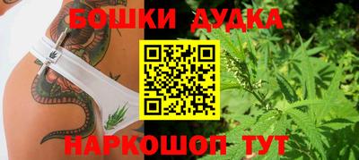 стаф Кулебаки