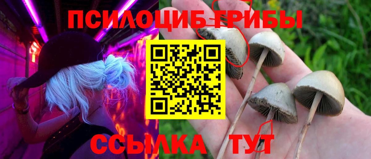 Псилоцибиновые грибы GOLDEN TEACHER  Вход с VPN  Златоуст 