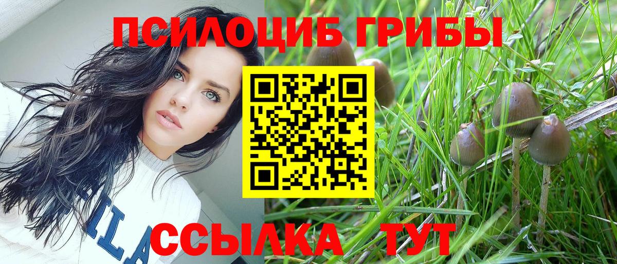 Псилоцибиновые грибы MAGIC MUSHROOMS Златоуст